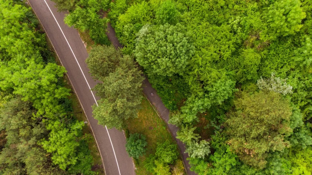 El camino hacia la descarbonización: de los sistemas híbridos a un entorno vital sin carbono