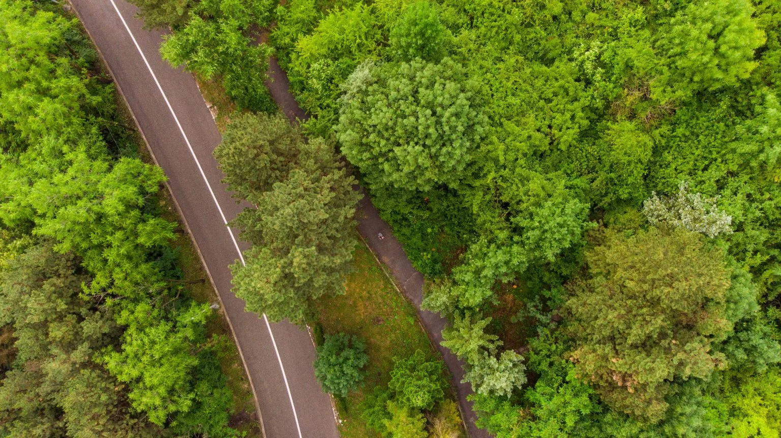 El camino hacia la descarbonización: de los sistemas híbridos a un entorno vital sin carbono