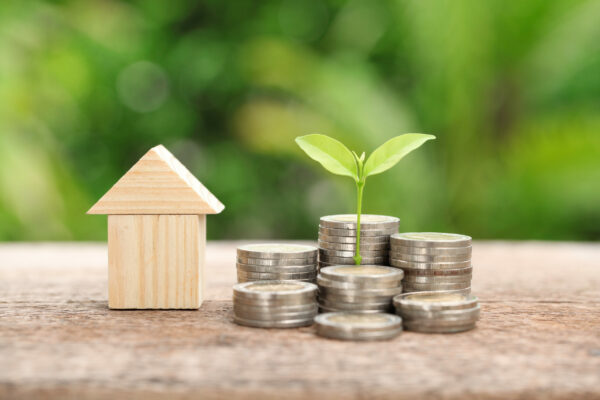 Money,And,Plant,,Saving,Money,Concept,,Concept,Of,Financial,Savings Transición energética, medidas fiscales e iniciativas